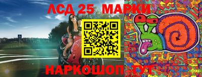 индика Чебаркуль