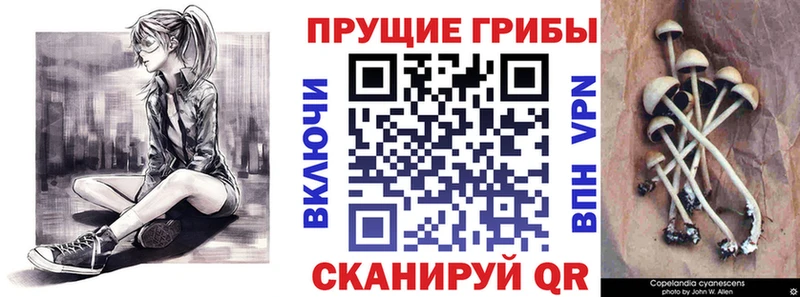 Псилоцибиновые грибы GOLDEN TEACHER  blacksprut онион  Борисоглебск 